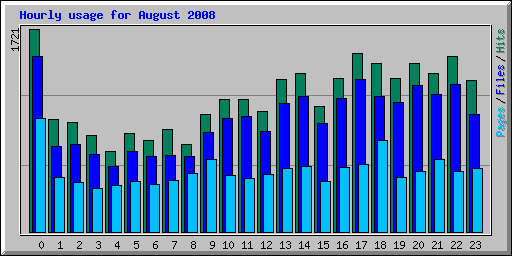 Hourly usage for August 2008